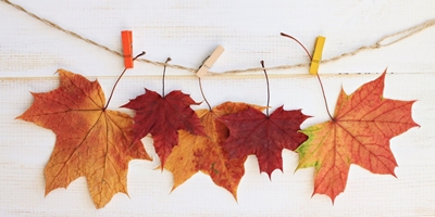 20220928 VT autunno