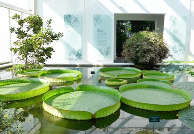 20160722 VM ortobotanico