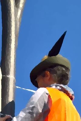 20170504 VM Alpini