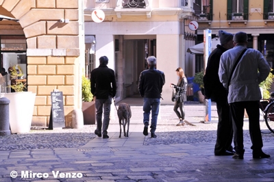 20211001 VM Treviso