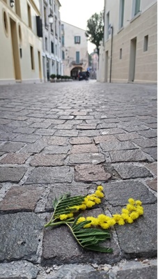 20230309 VM Alzati donna