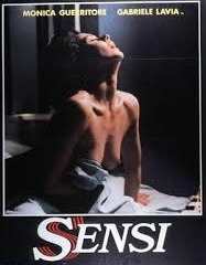 20240610 VM sensi