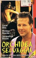 20240729 VM orchidea selvaggia